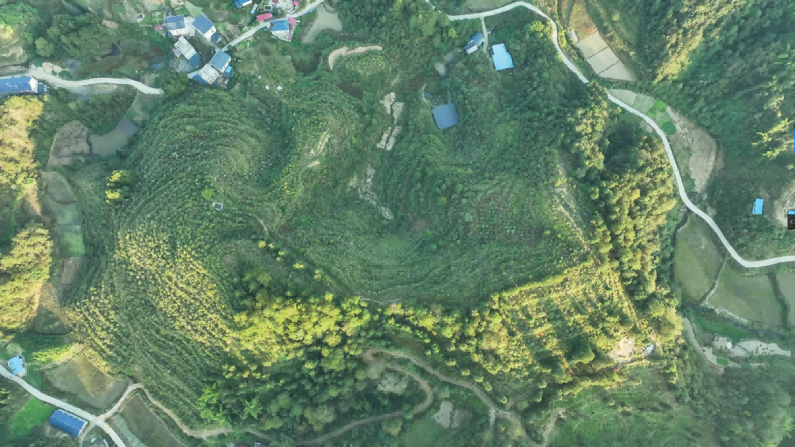 酉阳猪厂1.png