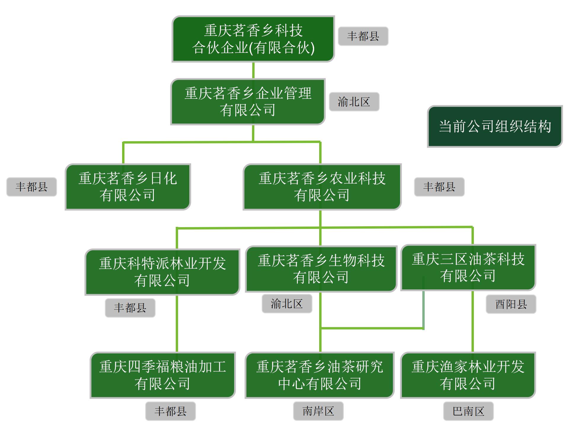 20241012公司组织结构图_01.jpg