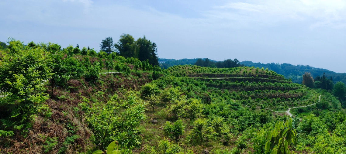 1770787739421260.jpg 2(1)压缩.jpg