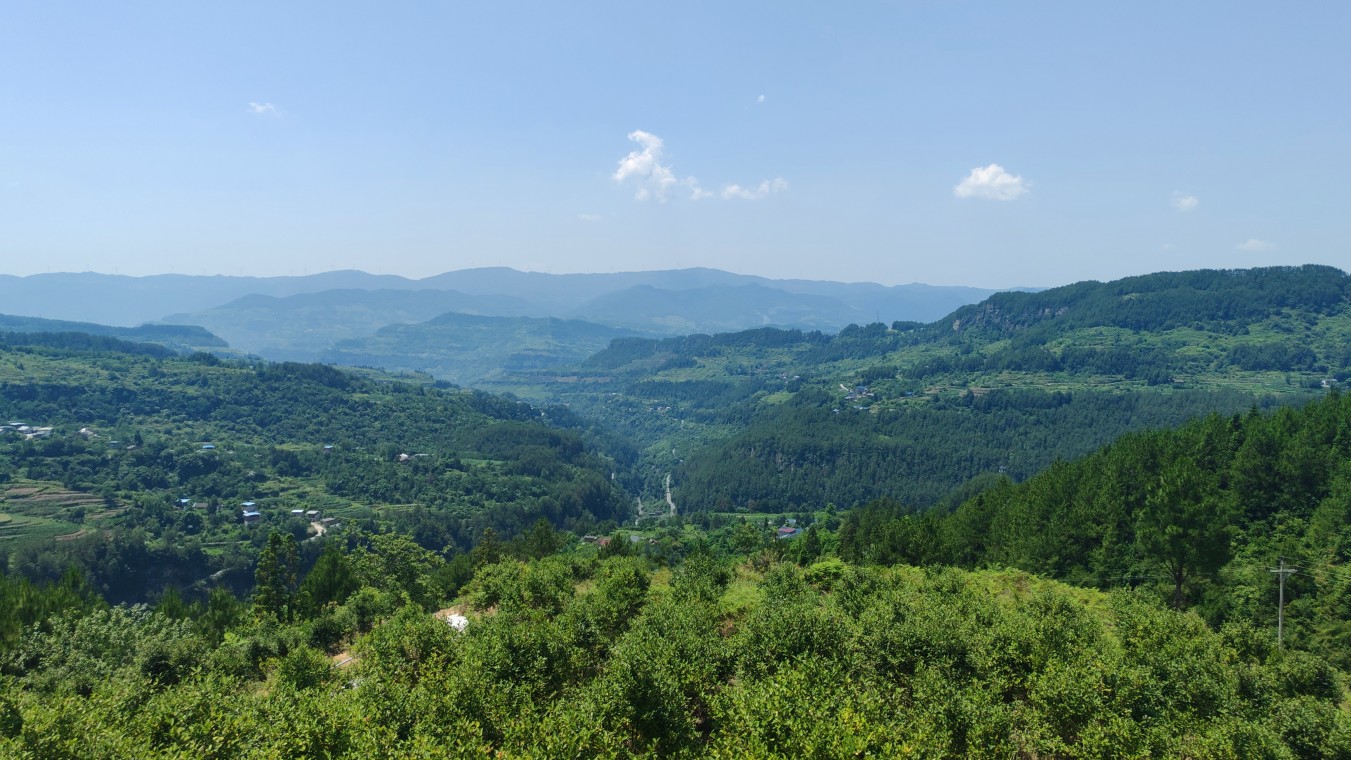 1769997086206472.jpg 1.jpg